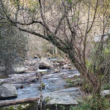 Argemira - Grupo Arcanos